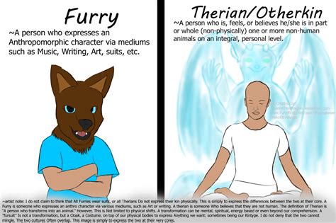 furry definition in hungarian